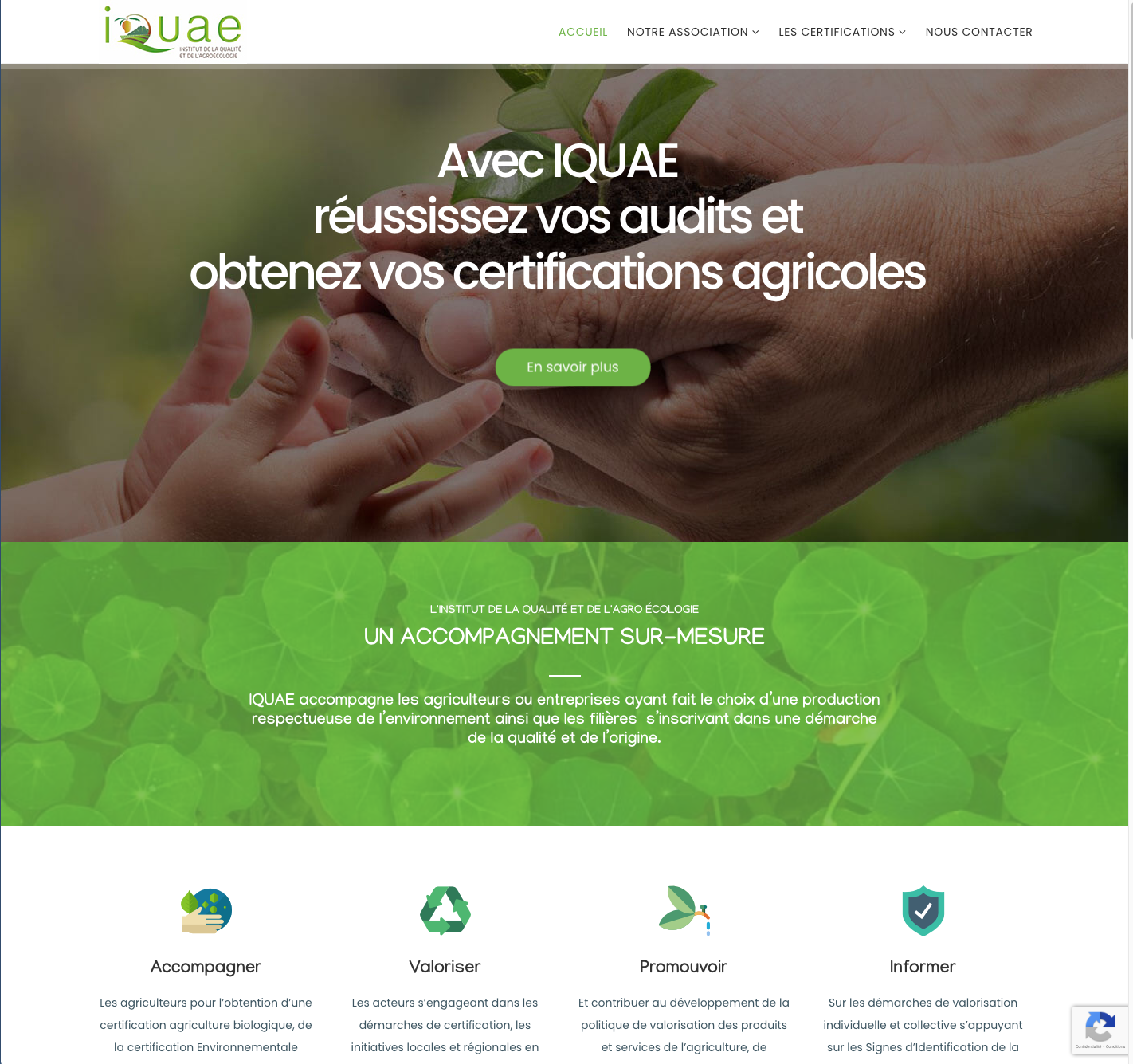 Site IQUAE